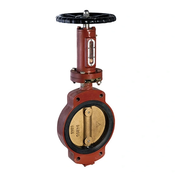 bronze globe valves